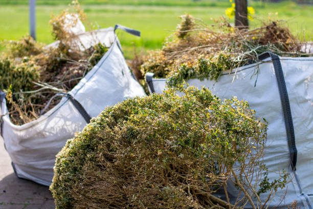 Best Yard Waste Removal  in Ford City, PA